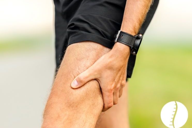 Wisniewski-Chiropractic-02.08-Blog_.jpg
