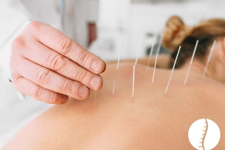 Wisniewski-Chiropractic-06.14-Blog_.jpg