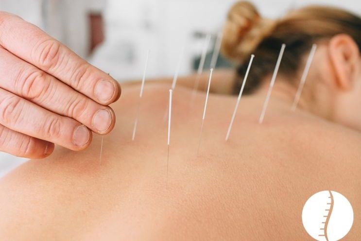 Wisniewski-Chiropractic-07.26-Blog_.jpg