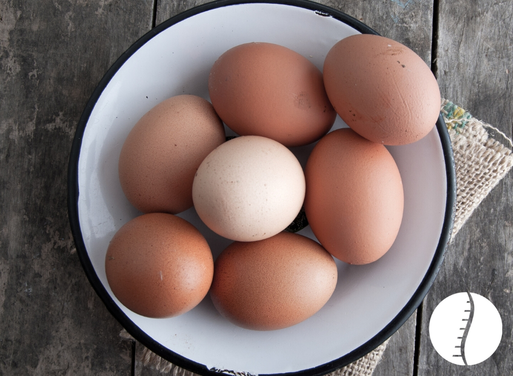 Are eggs good for you? Blog